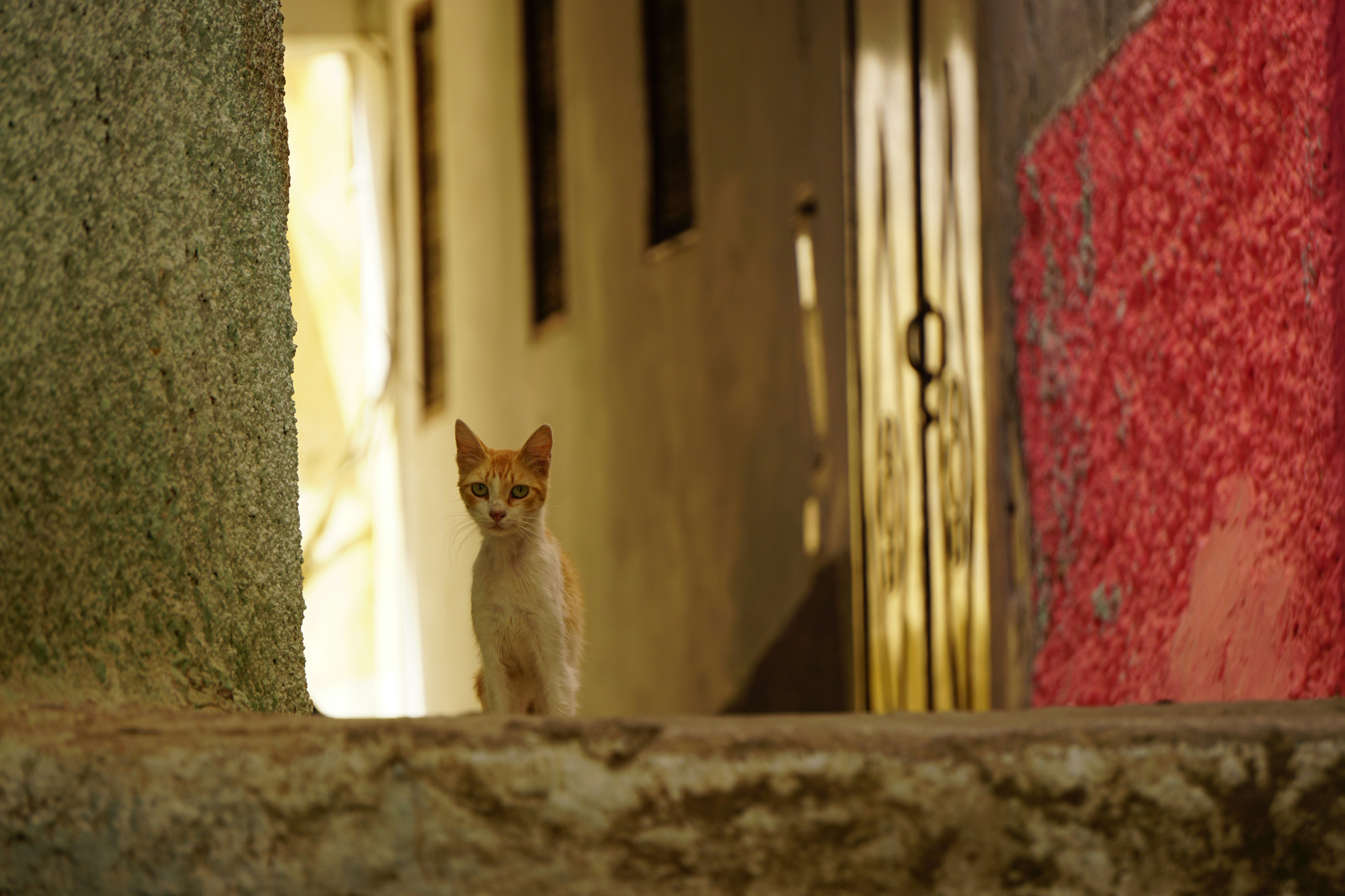 Photo by mytripflops