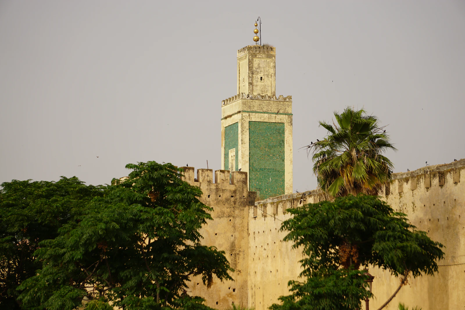 SIAO – Salon international de l'artisanat de Ouagadougou