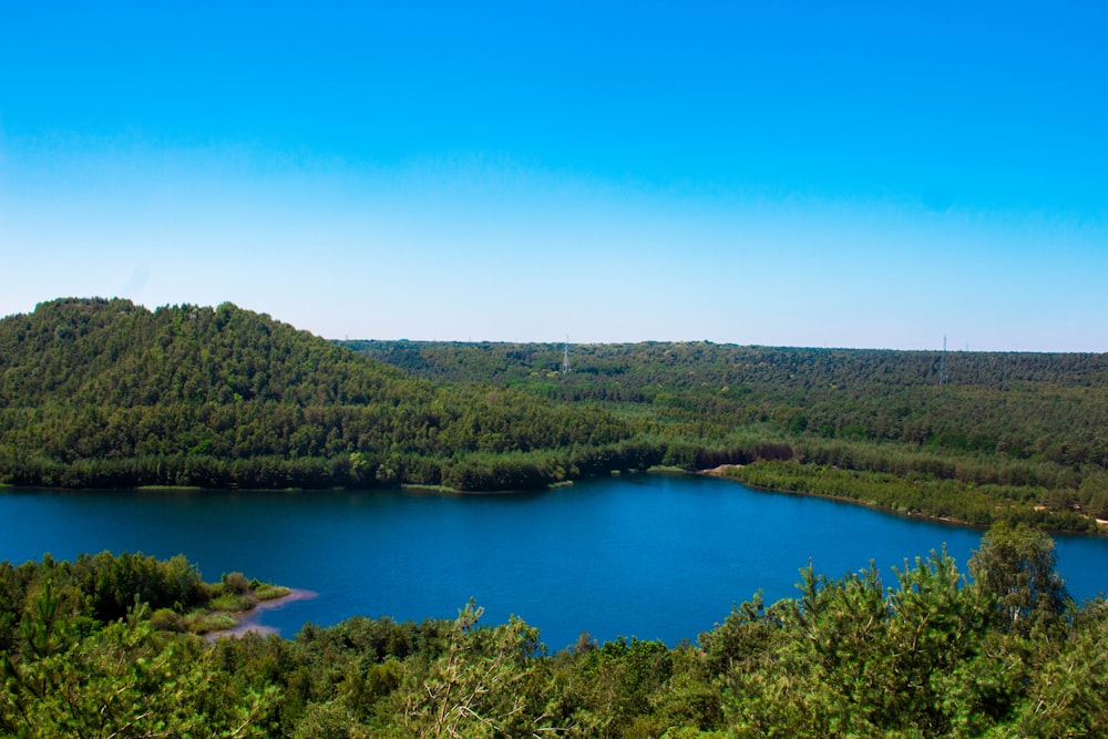 body of water between trees during daytime