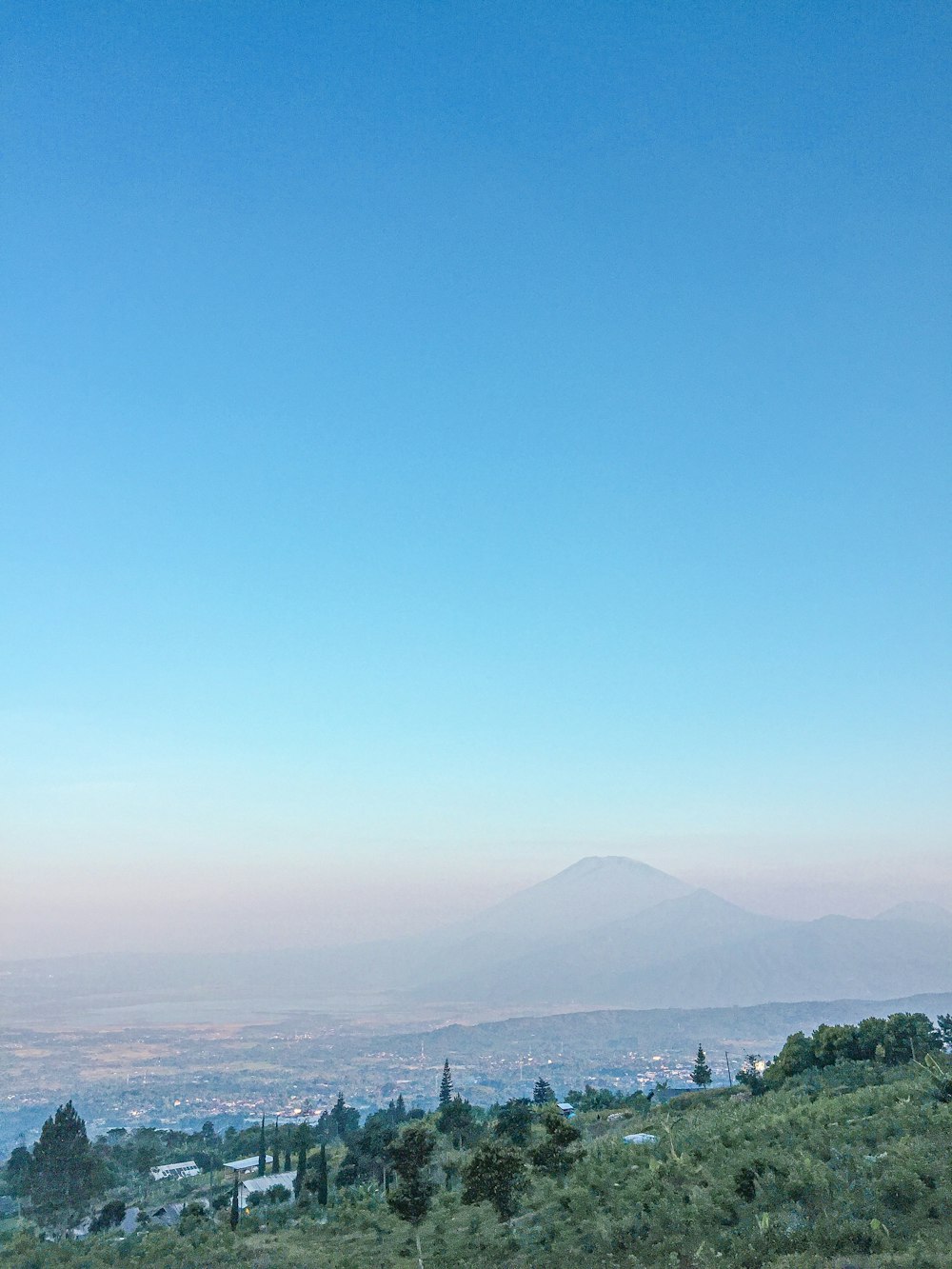 forest and mountains during day