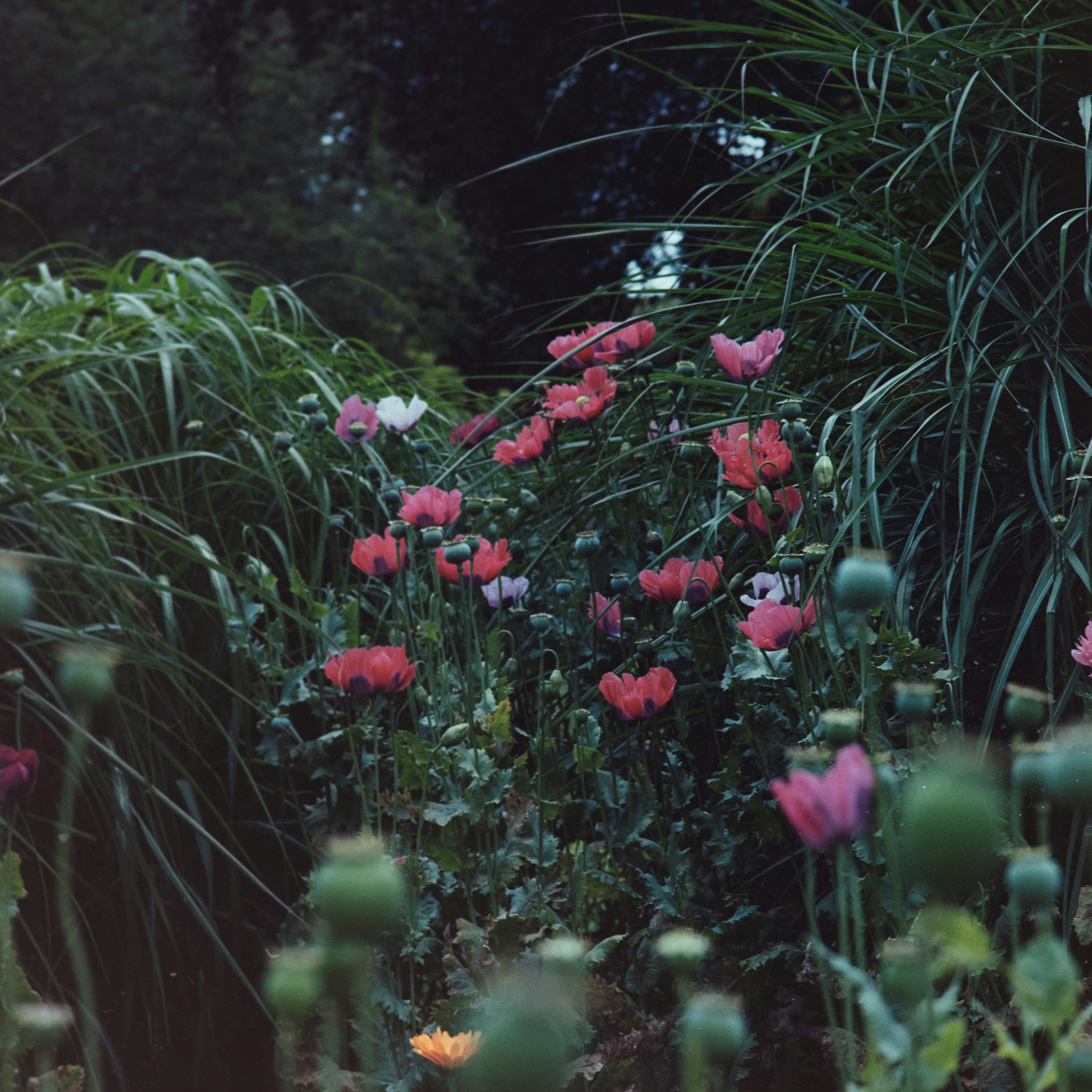 Photo by anniespratt