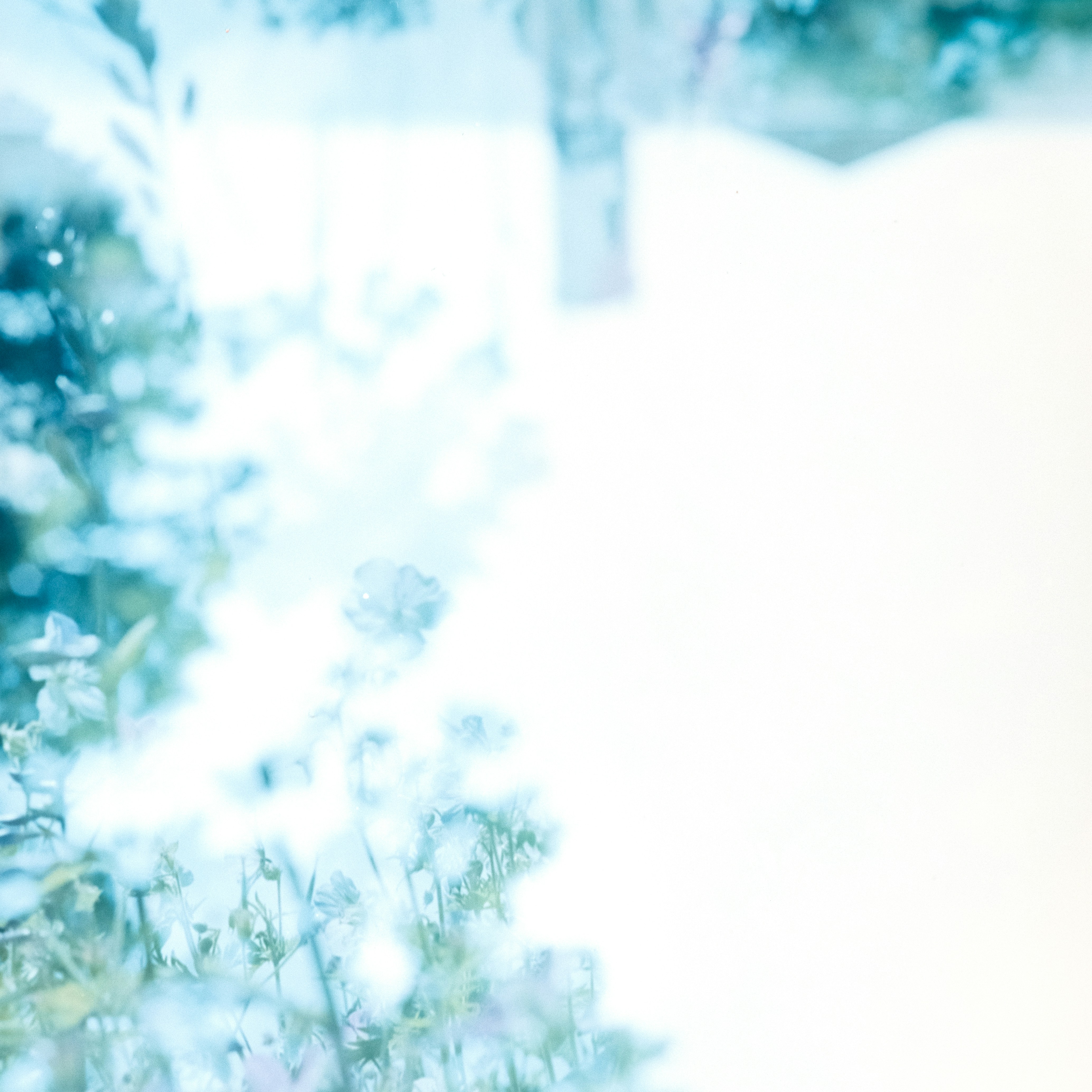 Photo by anniespratt