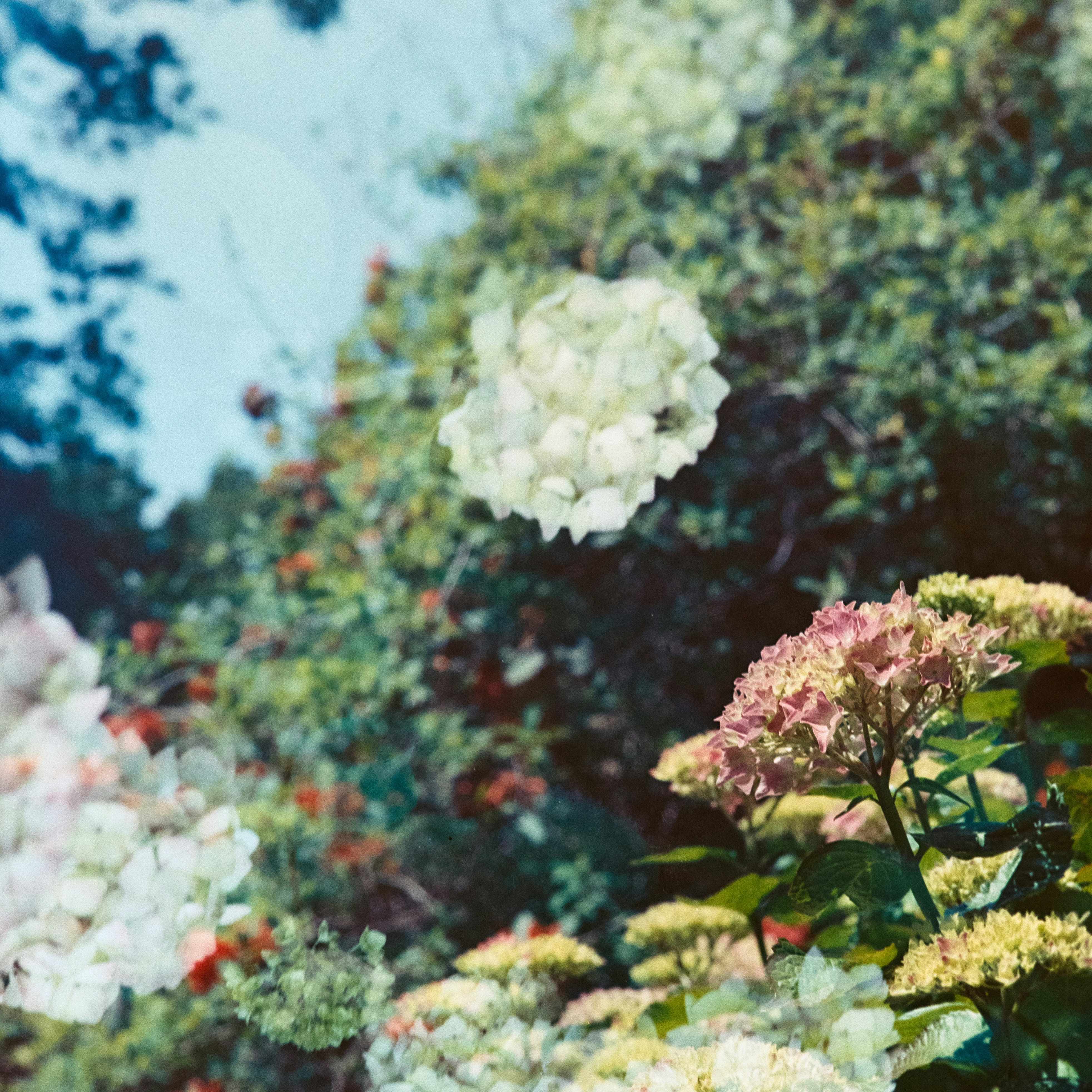 Photo by anniespratt