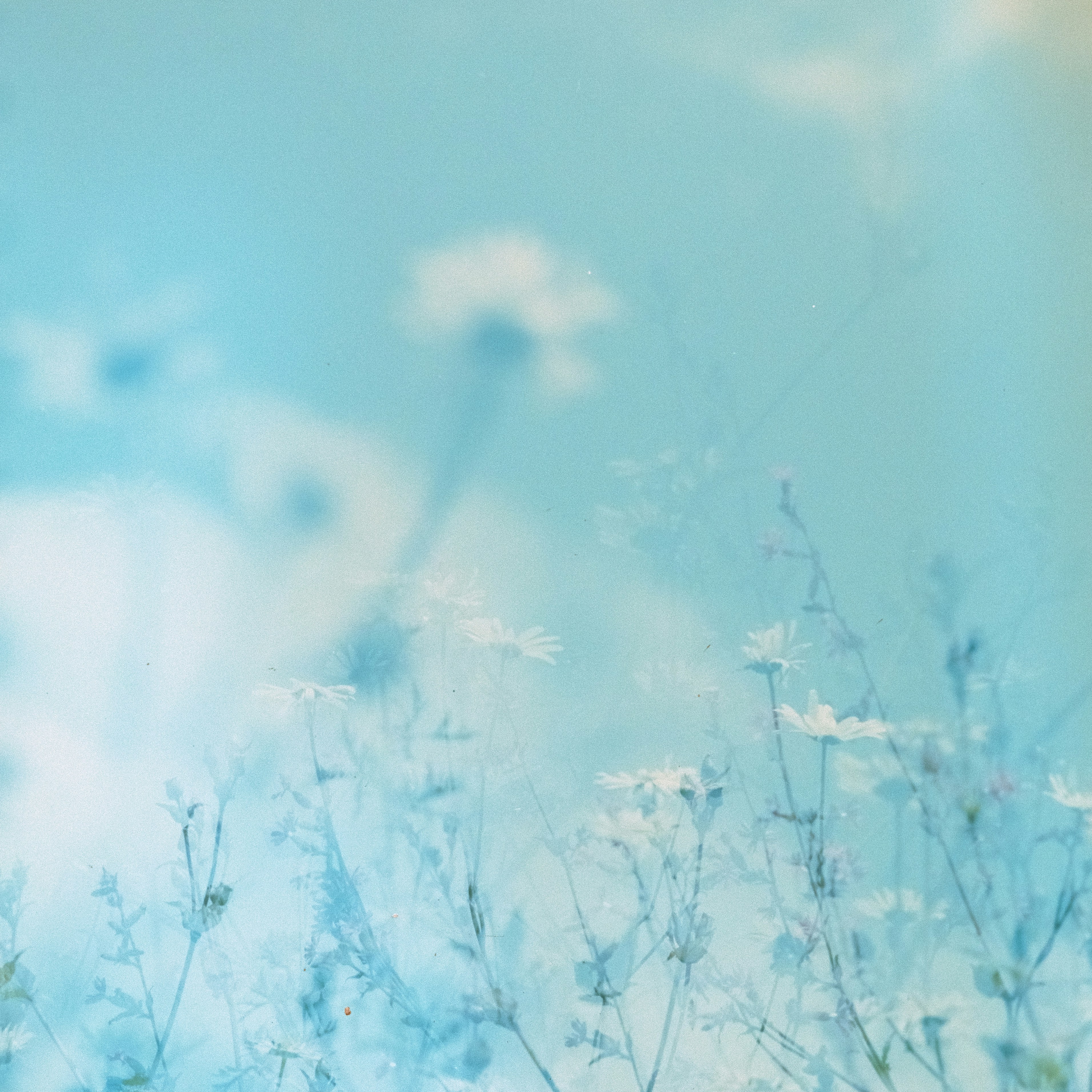 Photo by anniespratt