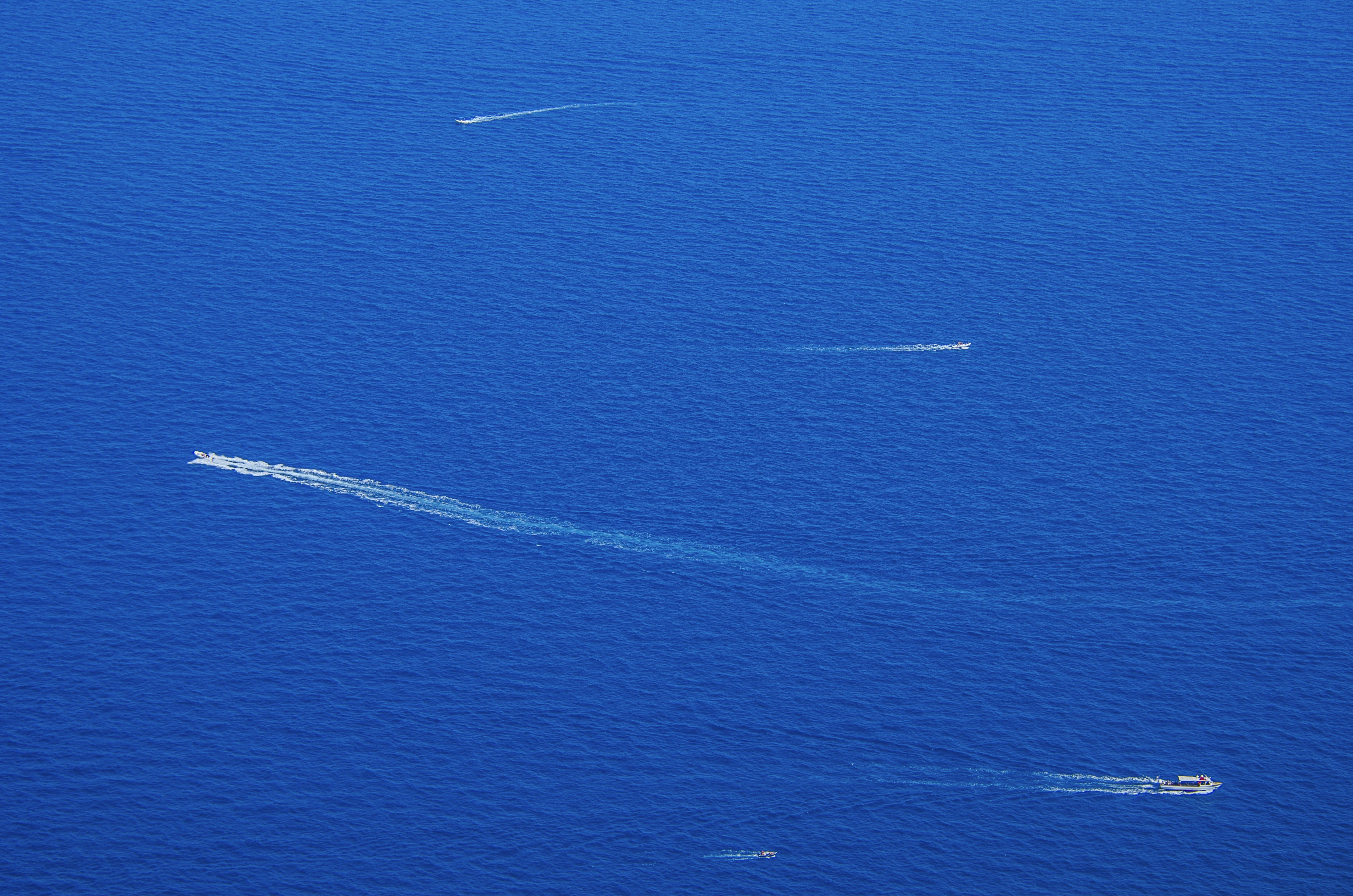 Photo by gopitri_prem