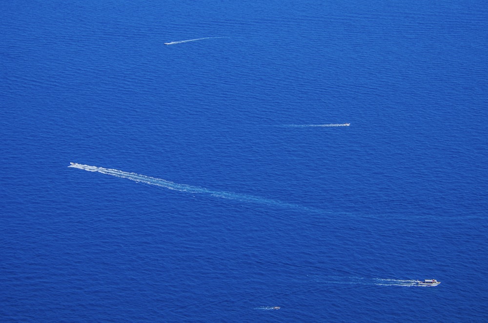 body of water with boats