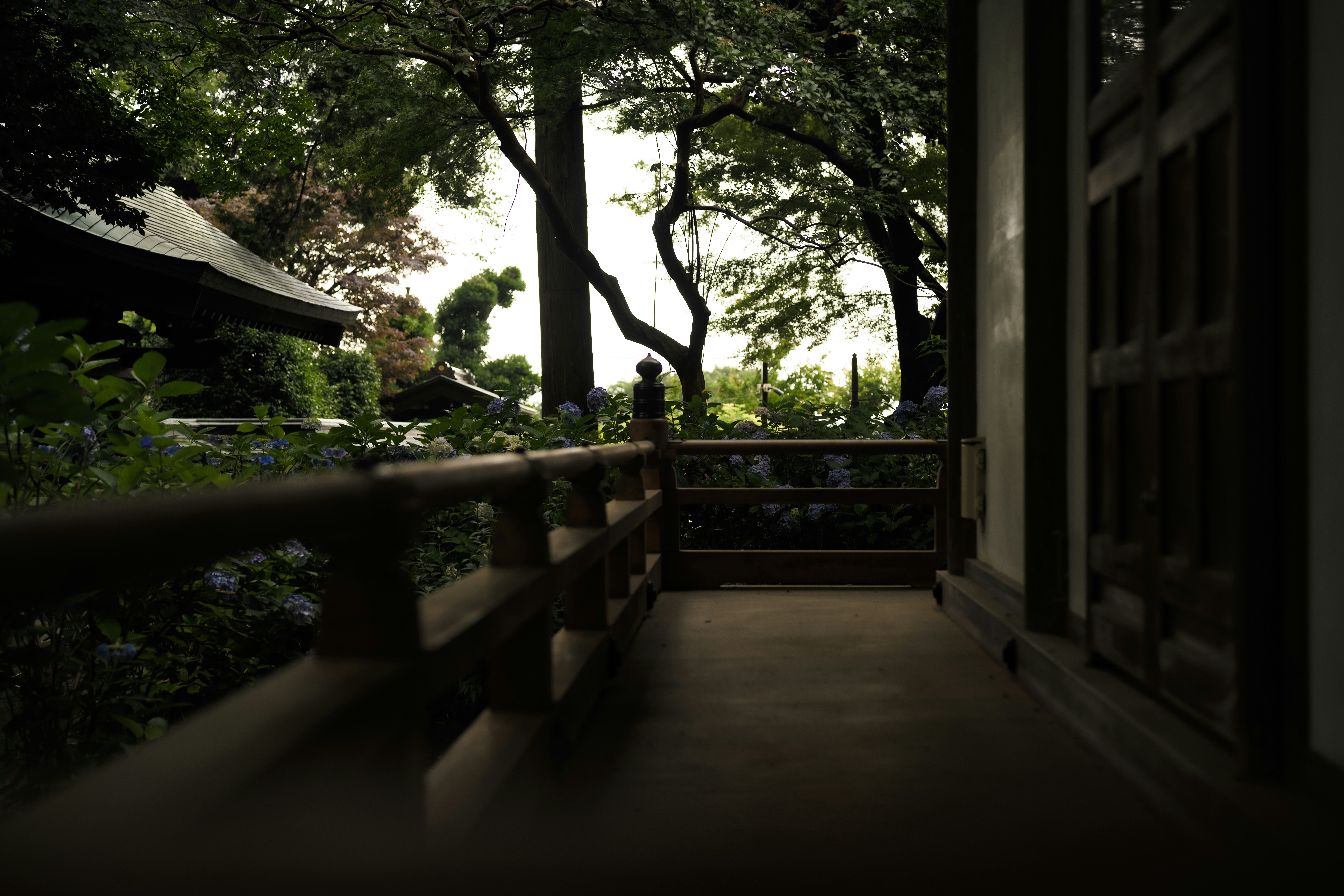 Photo by ryoma_onita