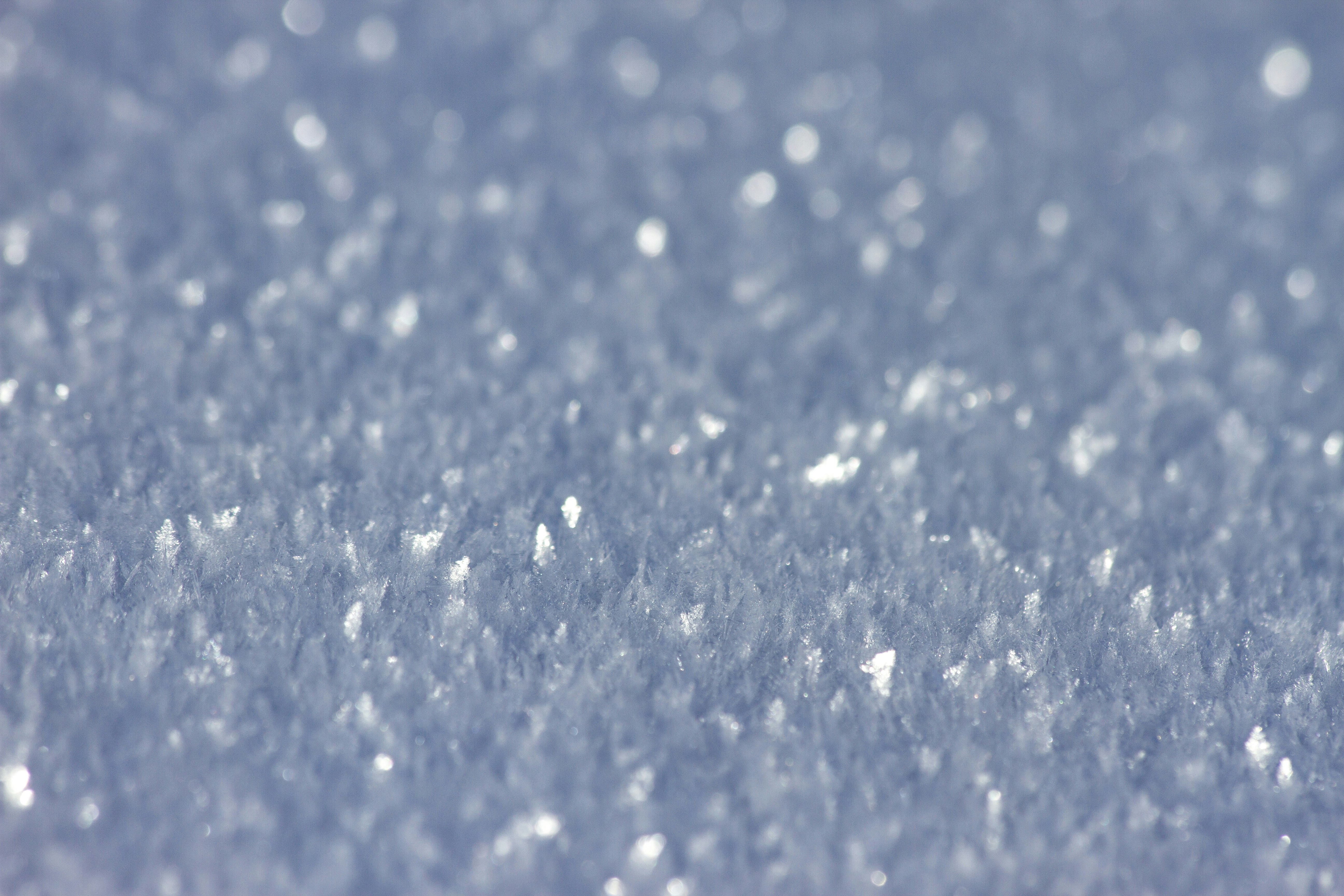 Photo by mostafa_meraji