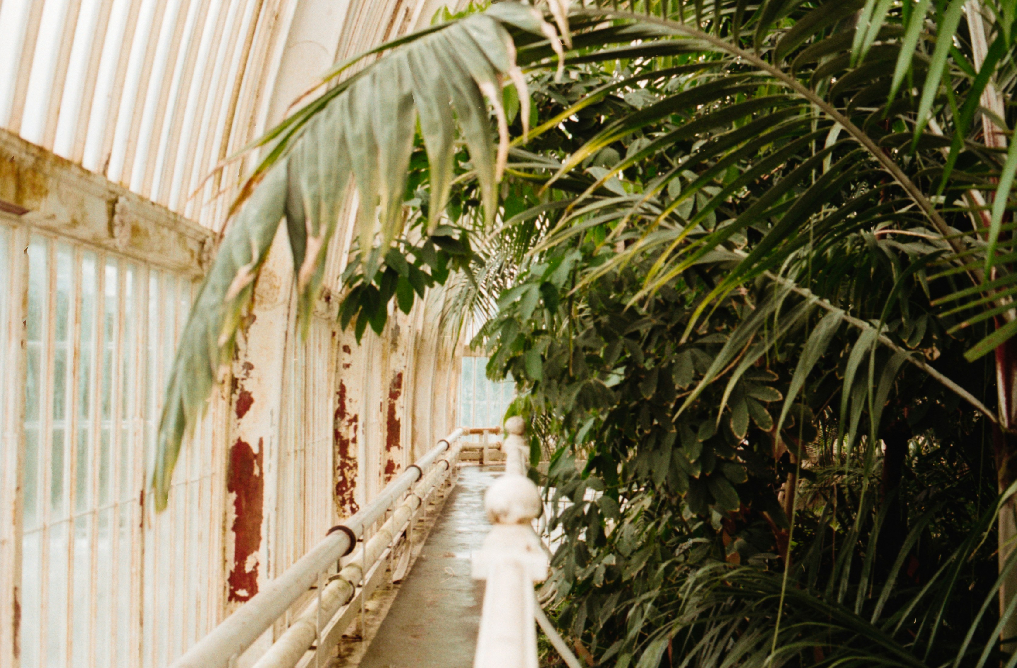 Photo by anniespratt