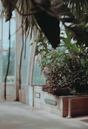 A greenhouse interior featuring lush green plants with pink flowers growing in a raised planter labeled 'The Americas'. Sunlight filters through large, arched windows, creating a serene and natural atmosphere.