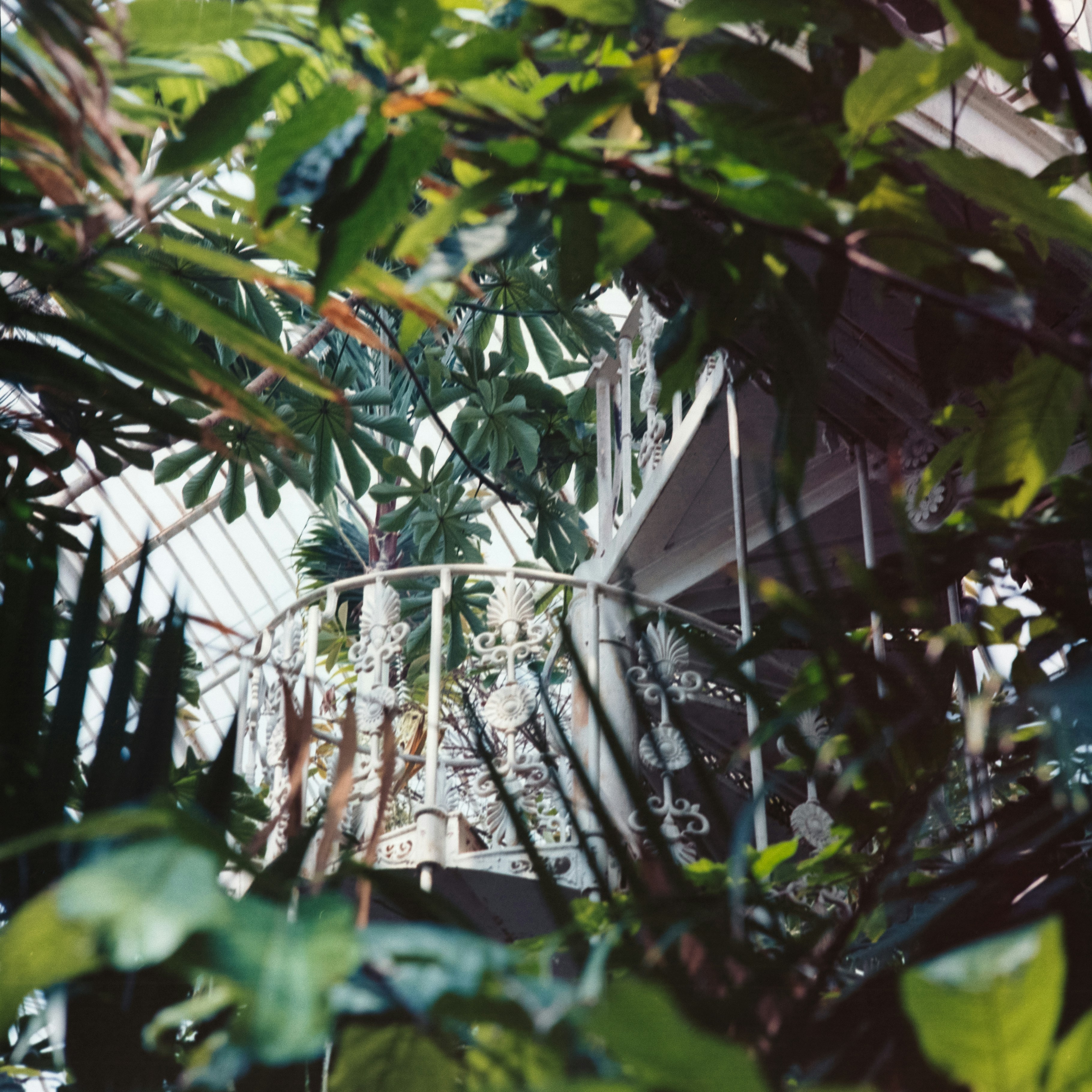 Photo by anniespratt