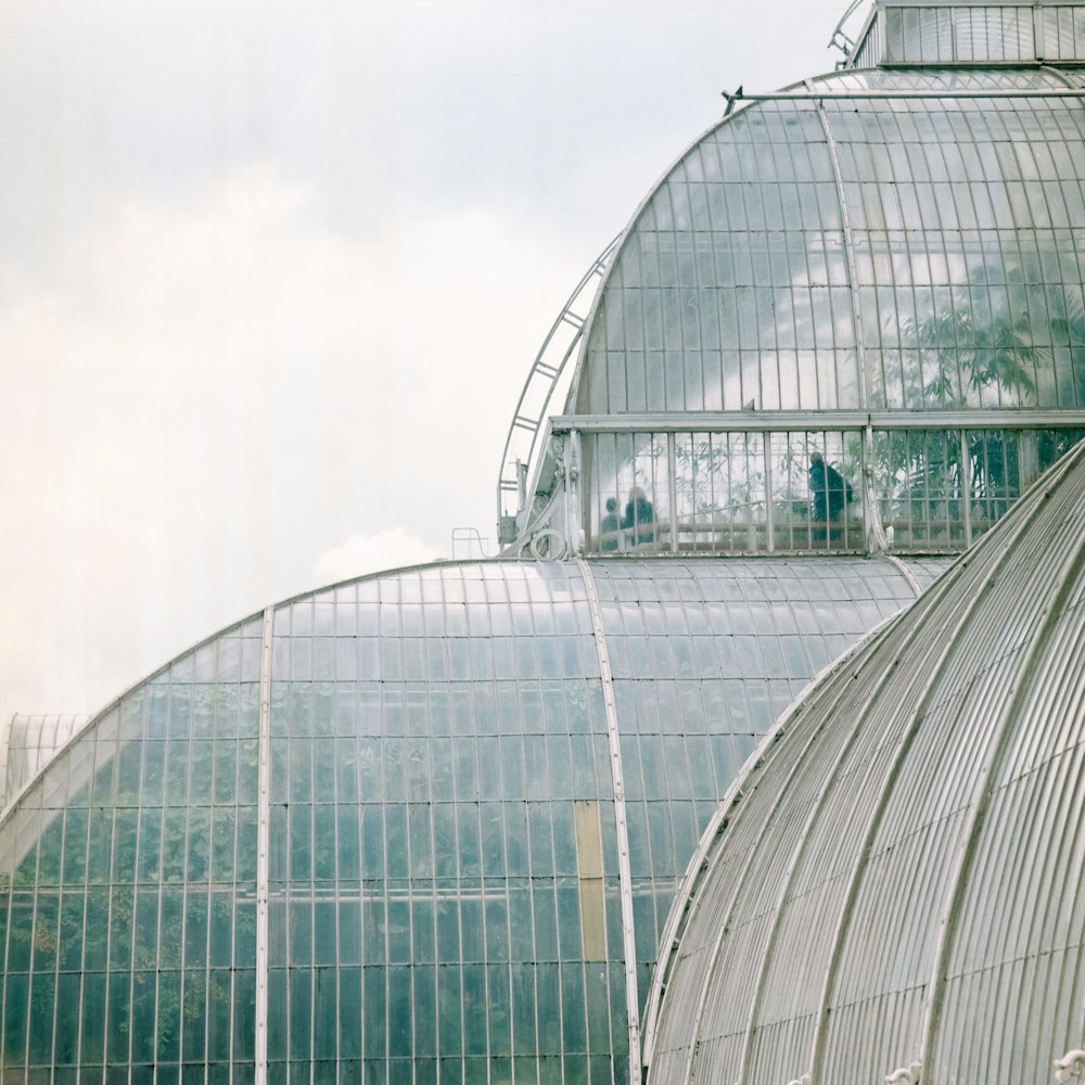 clear glass walled building with plants inside