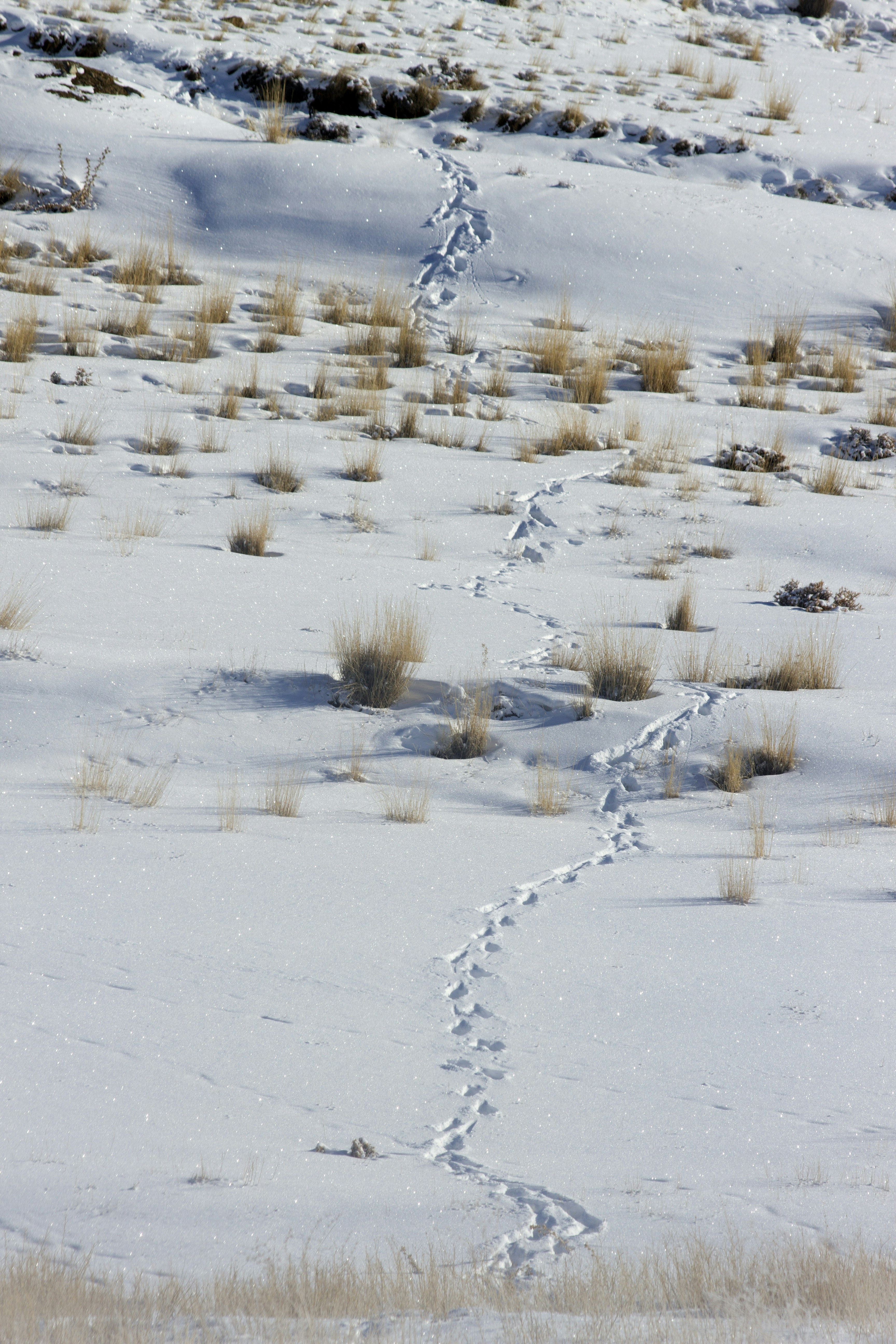 Photo by mostafa_meraji