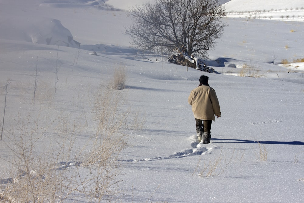 눈 덮인 지역을 걷는 사람