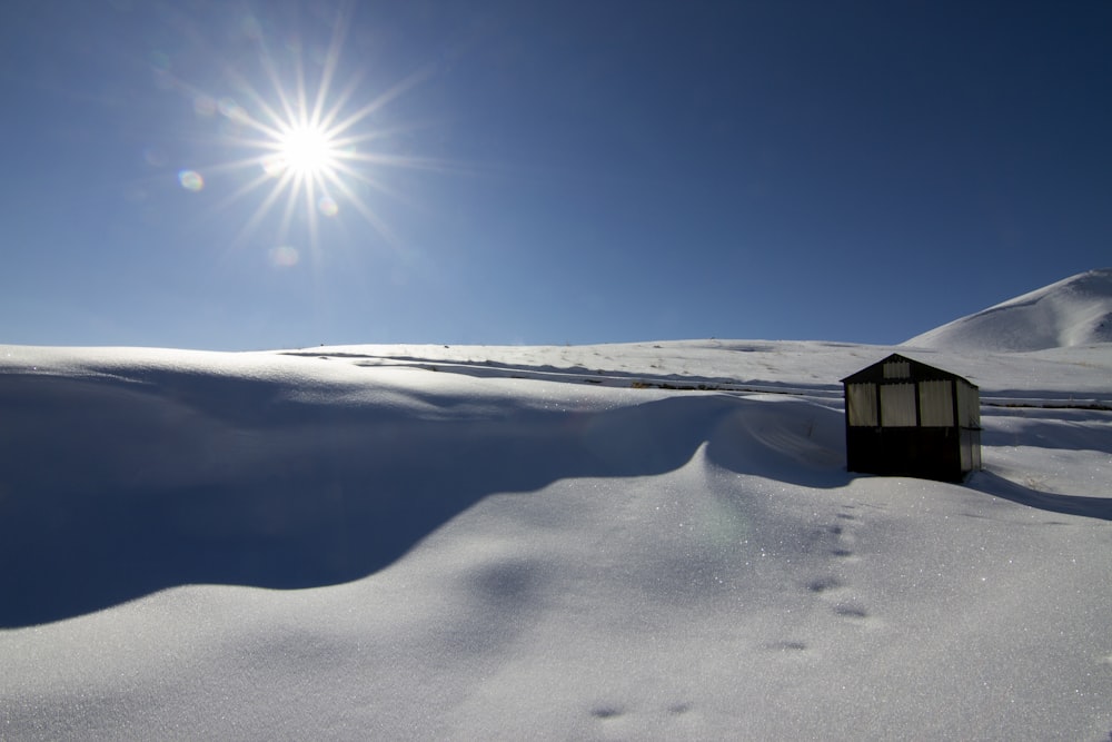 house near field covered with snow