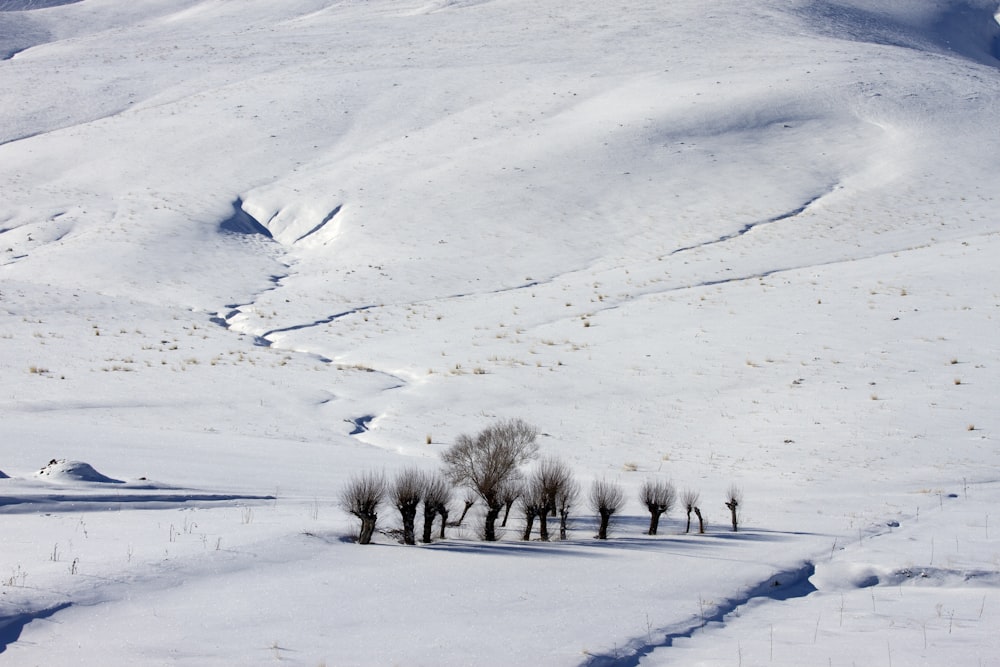 Dichter Schnee bedeckt das Tal und die Berge