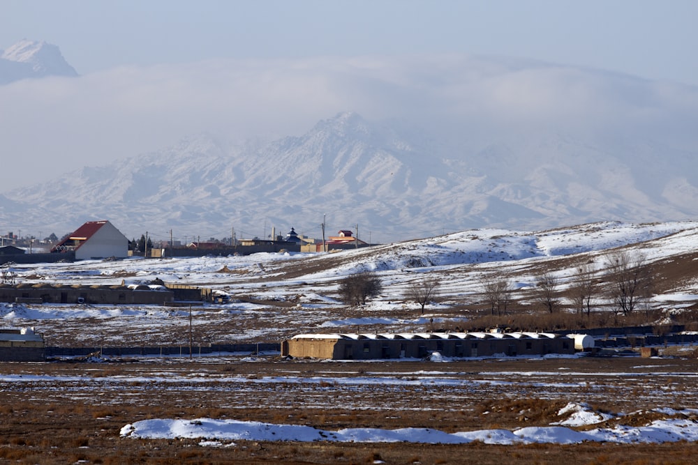 landscape photo of brown fields