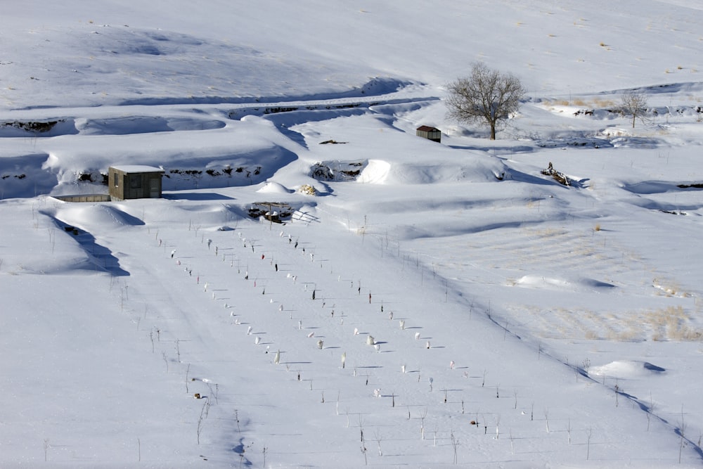 casa circondata dalla neve