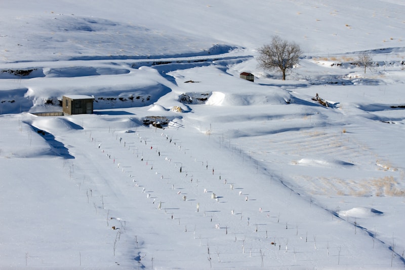 Pierra