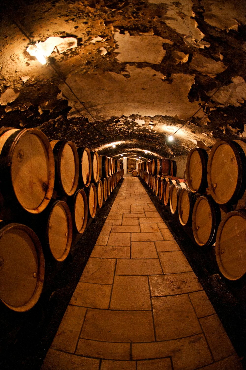 barrels of liquor in a basement