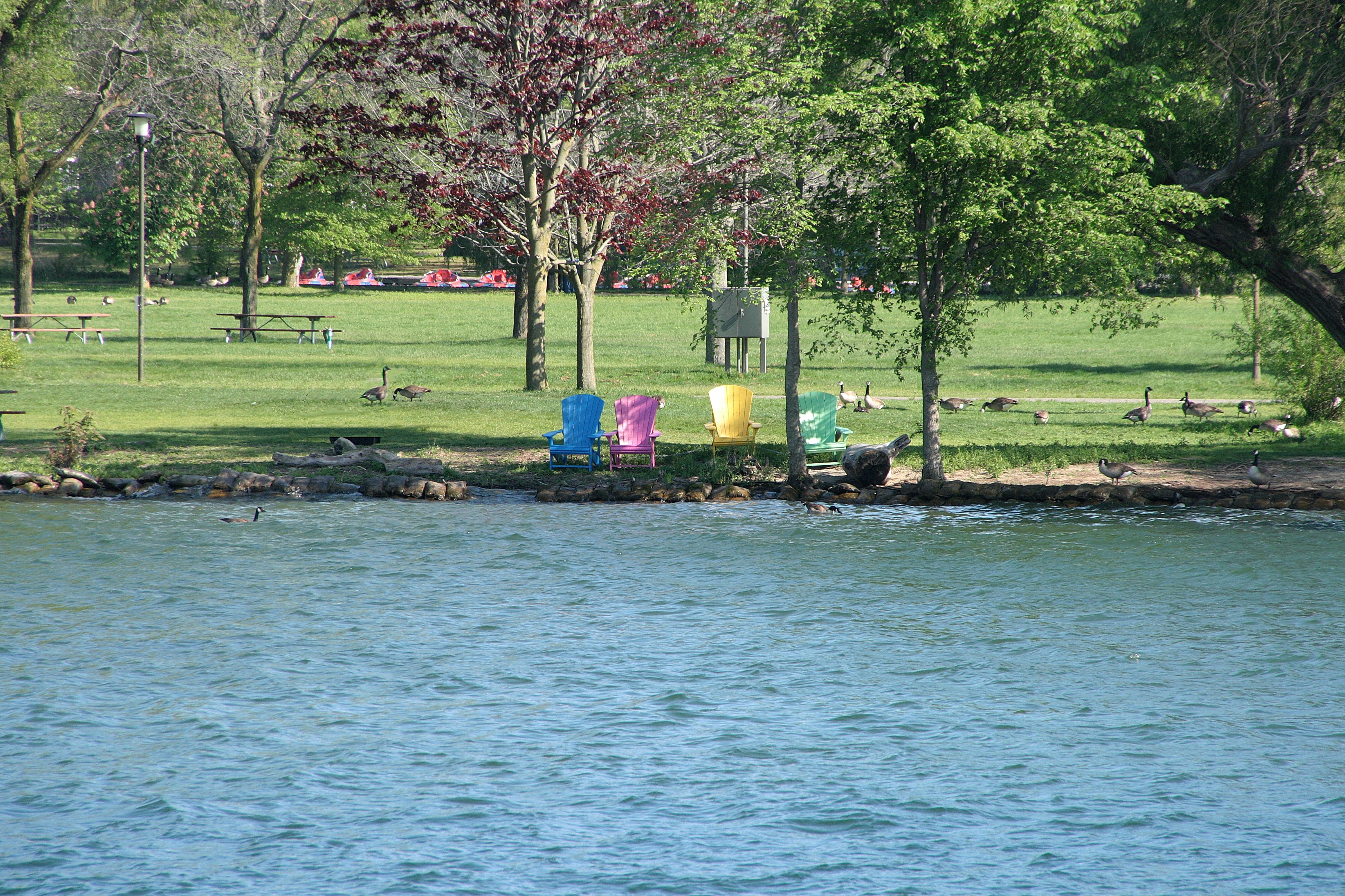 Four Colored Outdoor Chairs At The Lake Bank Photo Free Water