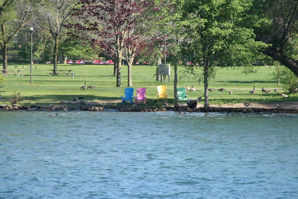 four colored outdoor chairs at the lake bank