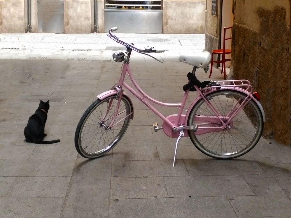 pink retro bike parked in courtyard beside black cat