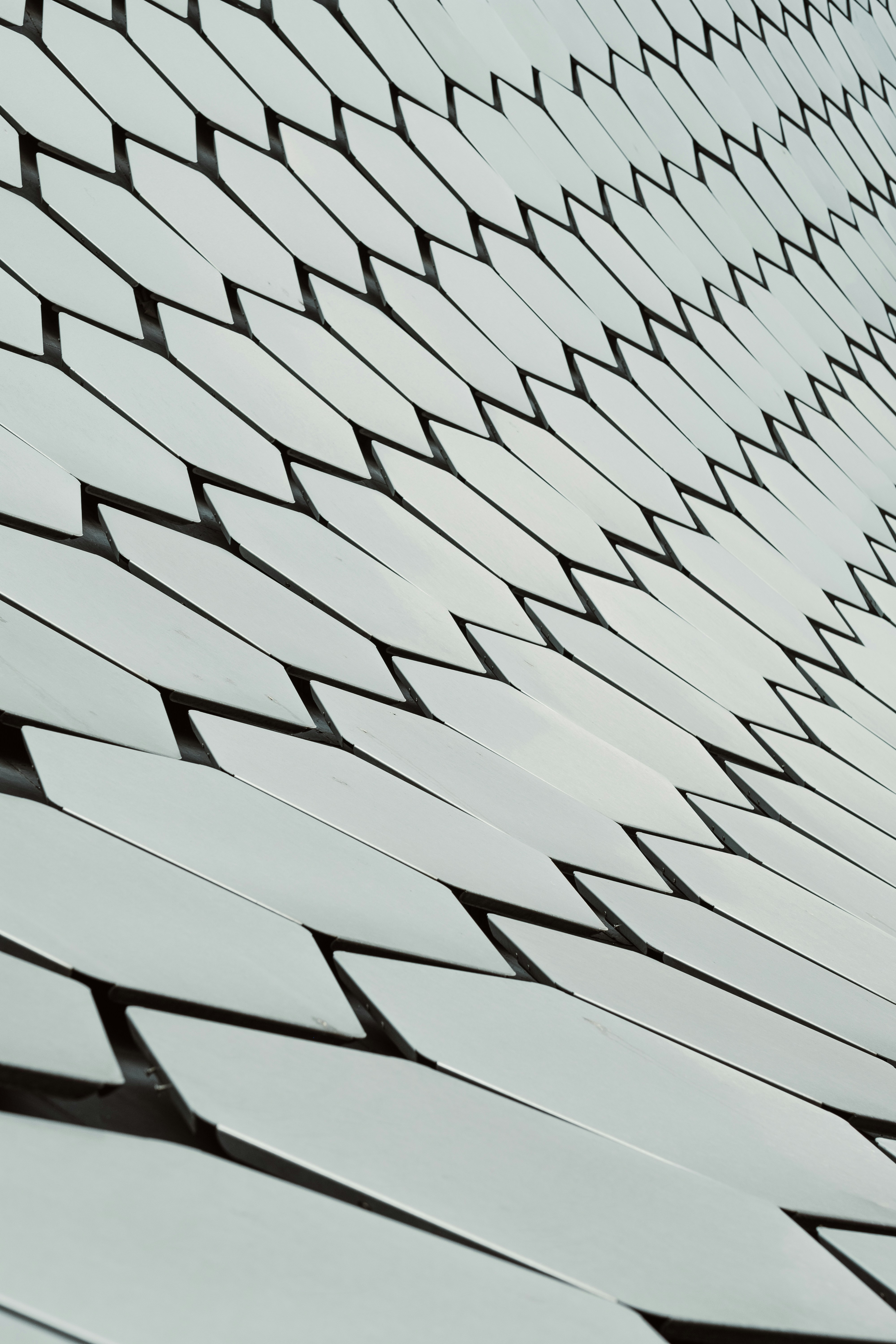 Photo by whatyouhide