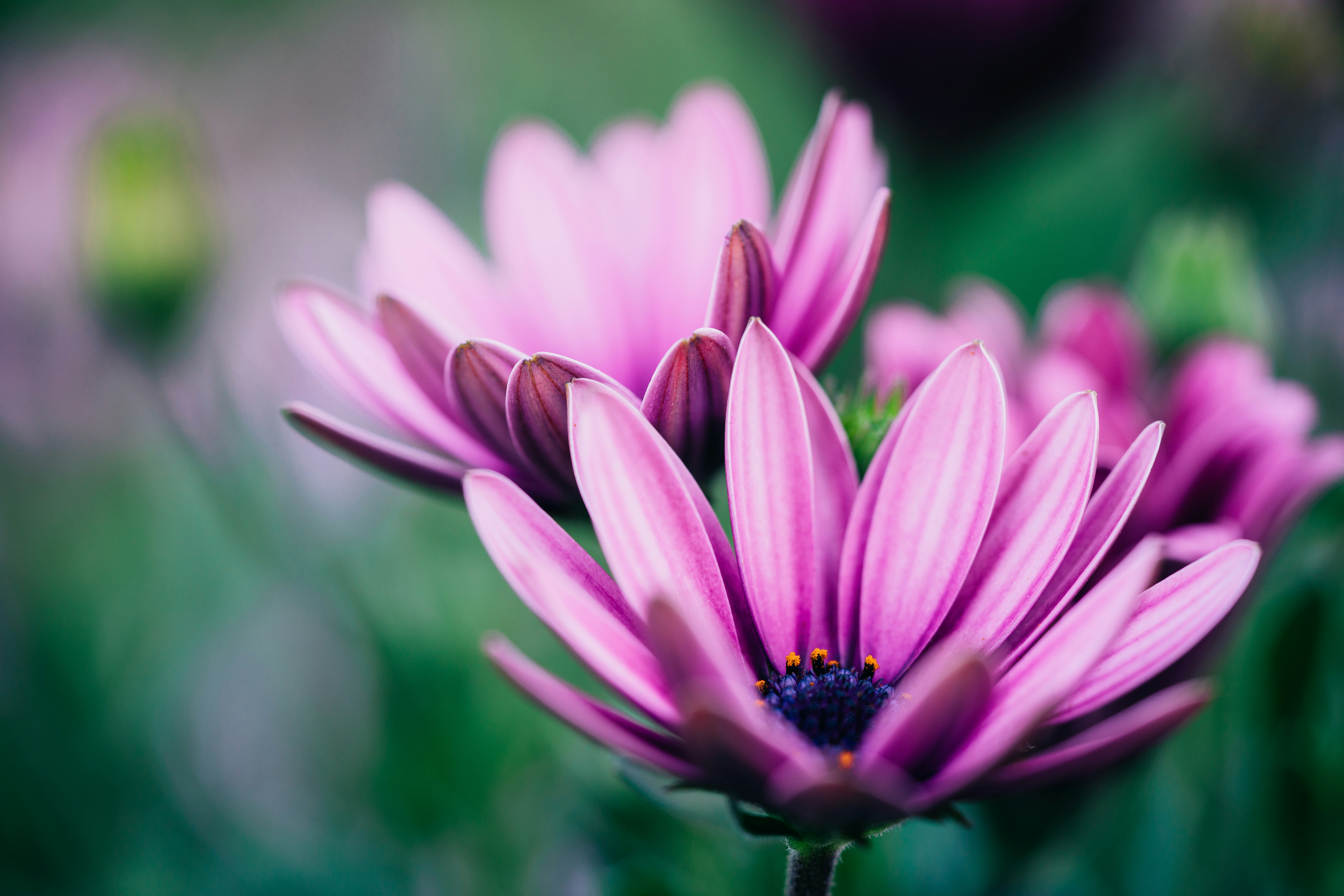 Photo by peterzhaonanxin