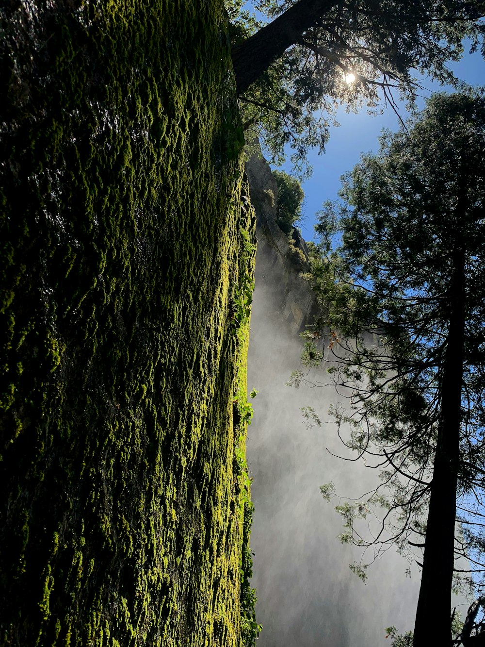 mountain covered with green moss