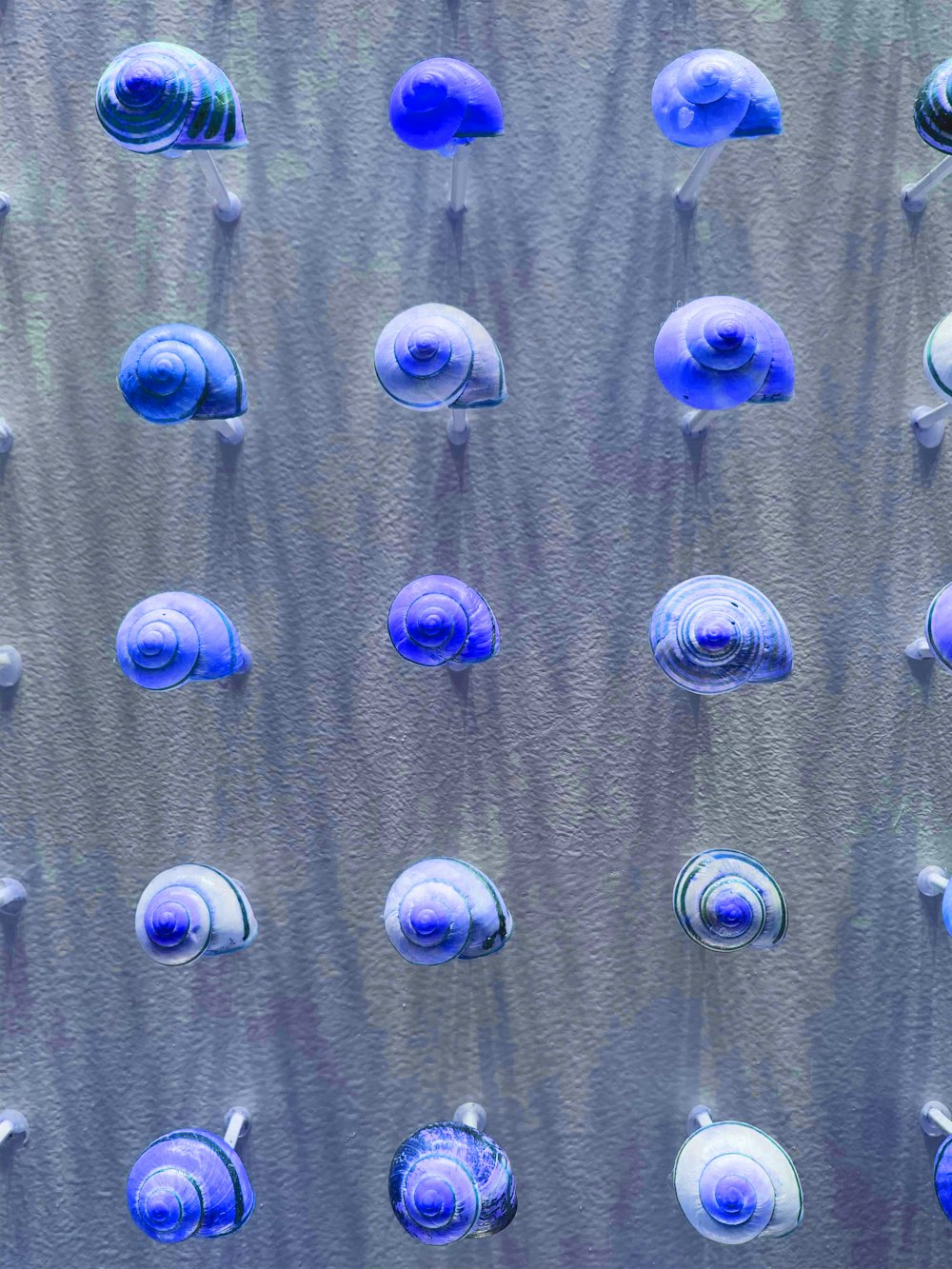 a group of blue glass objects on a wall