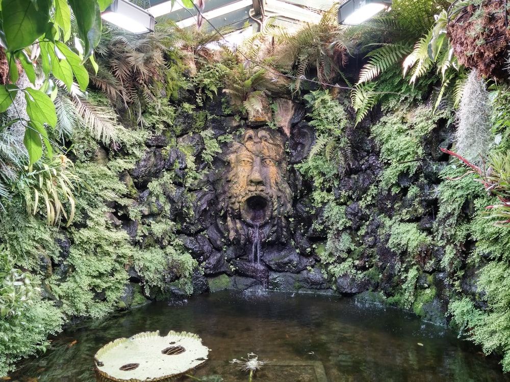 Jardín con cuerpo de agua