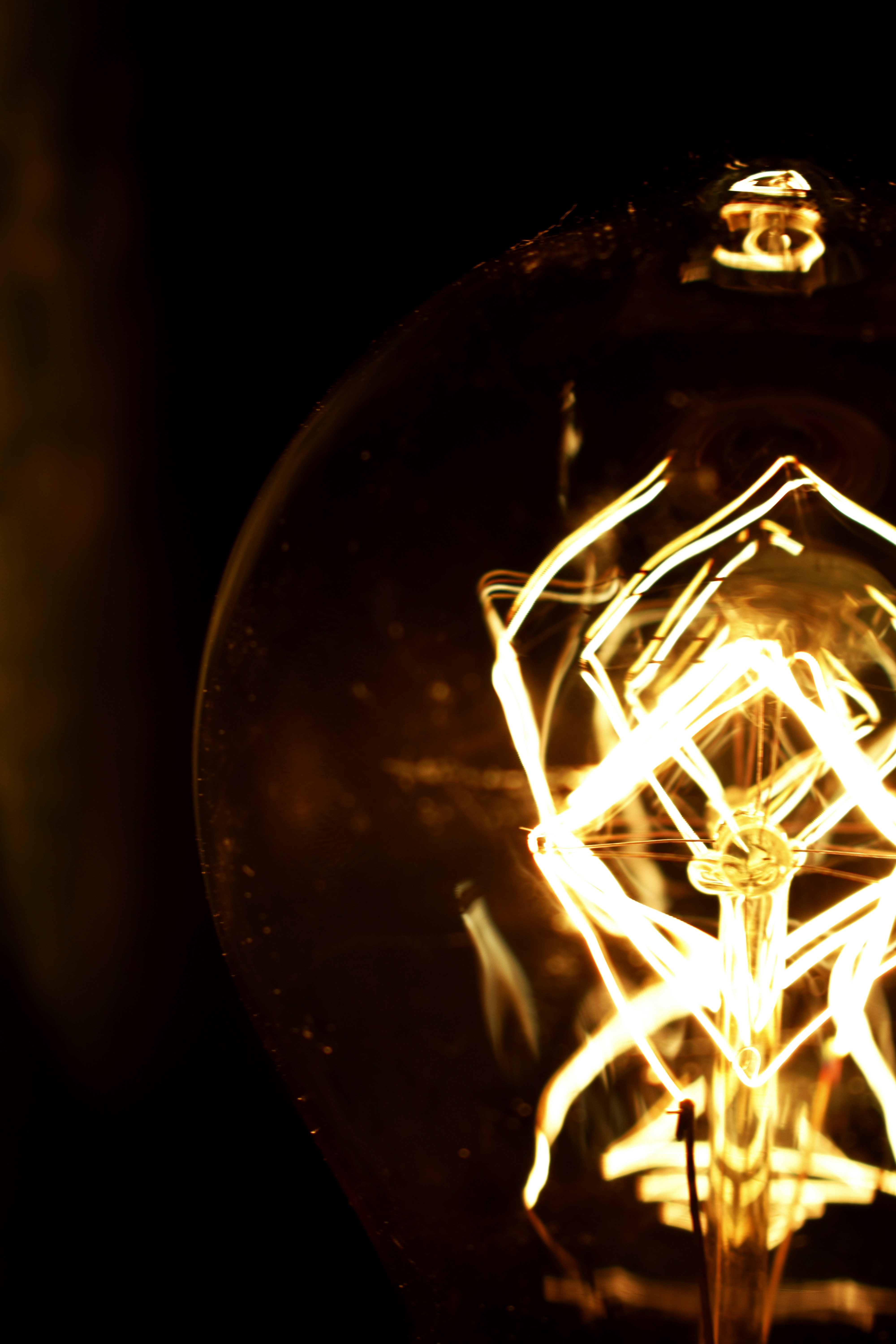 Photo by ridhamparikh