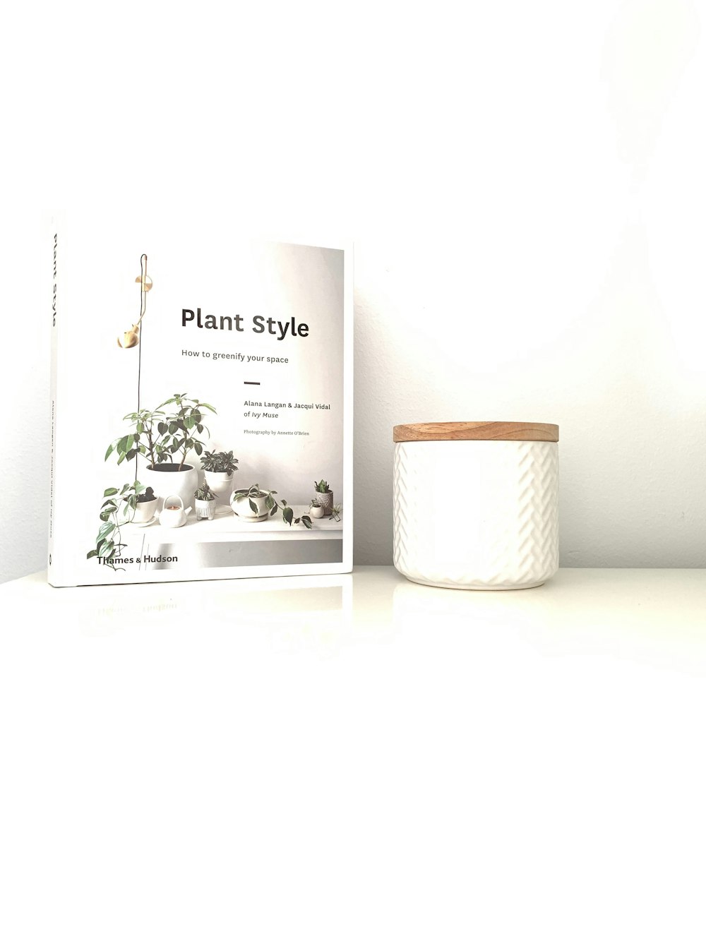 white ceramic plant pot