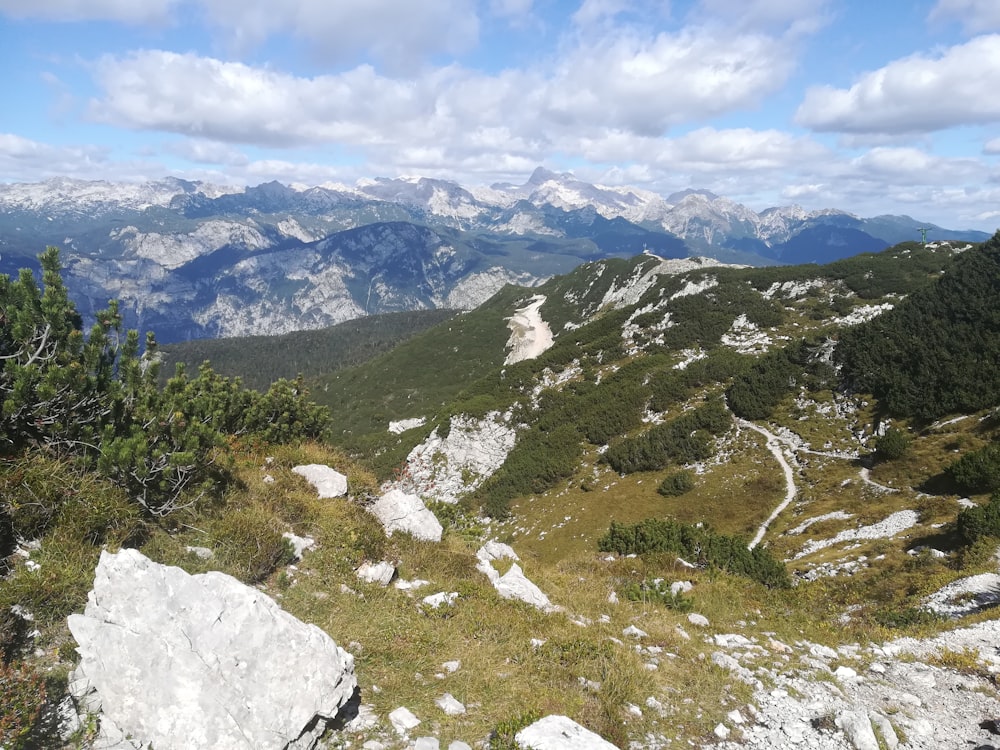 rock formation near green-leafed trees