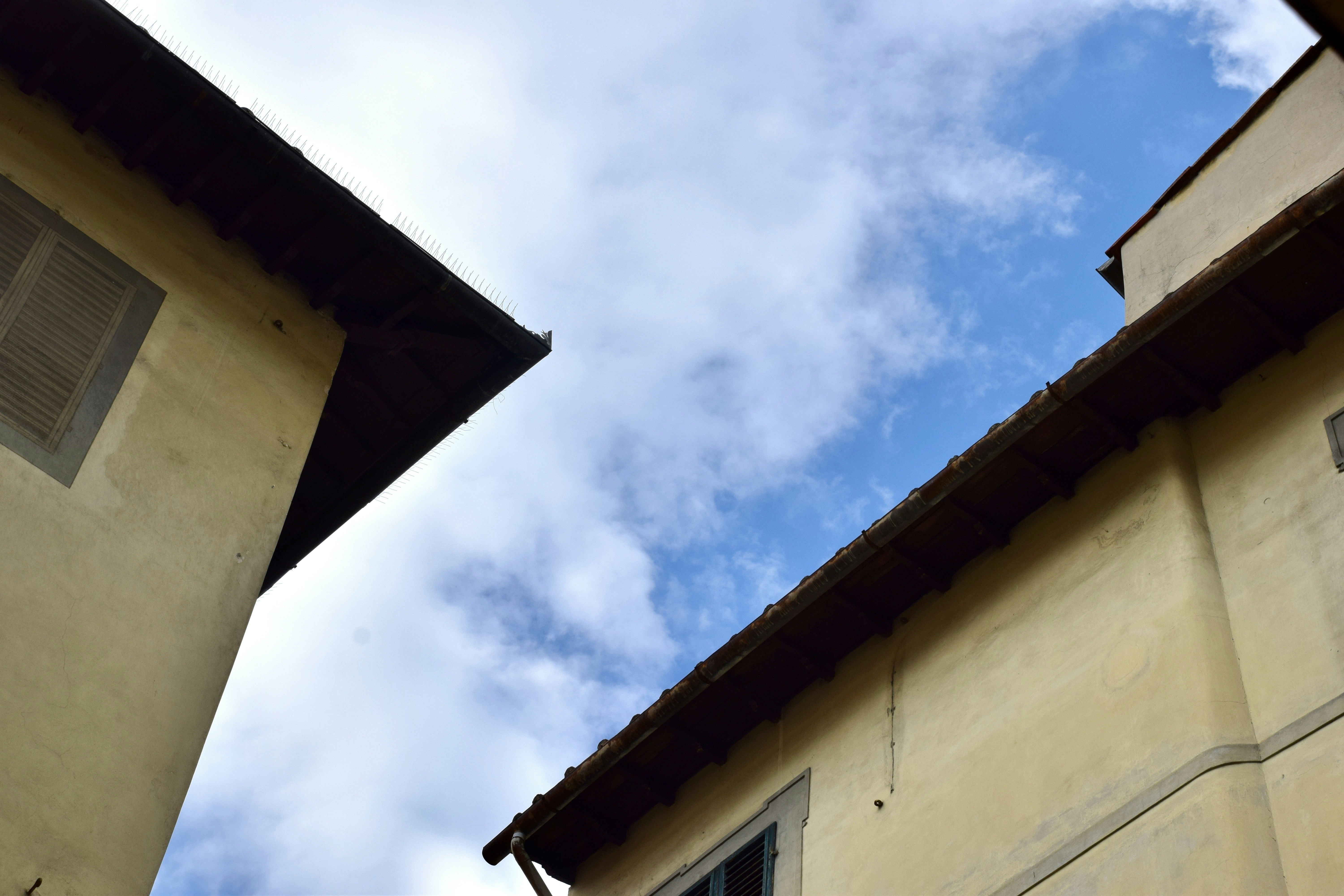 Photo by taylor_smith