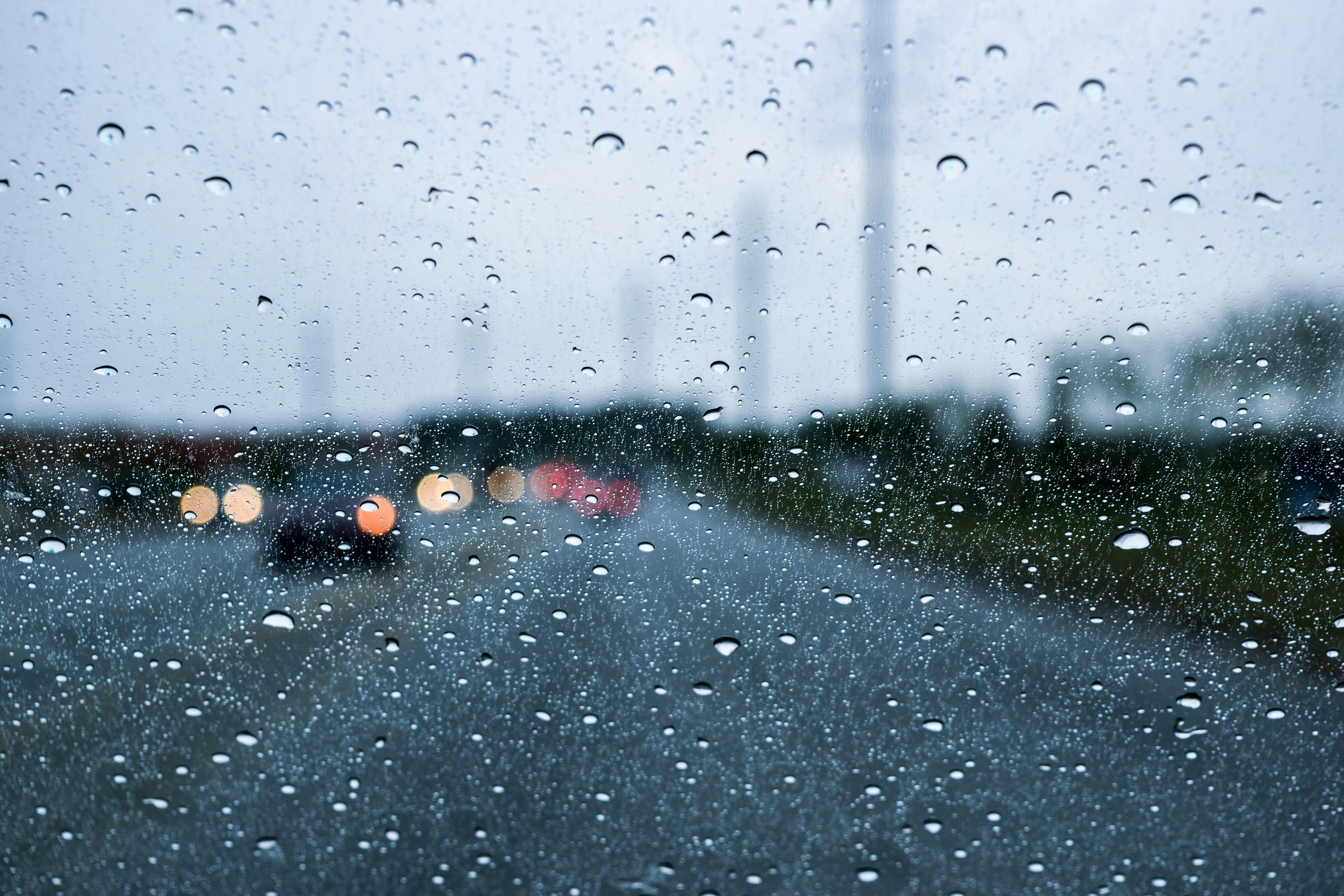 Photo by taylor_smith