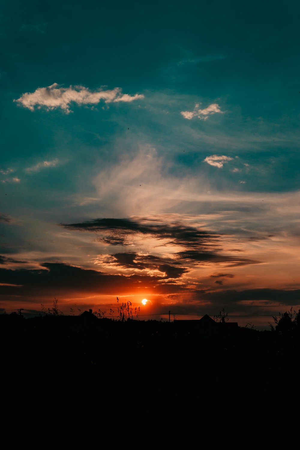 photo de silhouette d’arbres