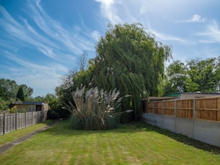 A serene backyard with a well-kept lawn and decorative shrubs.