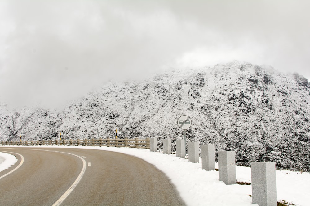 snow-covered trees