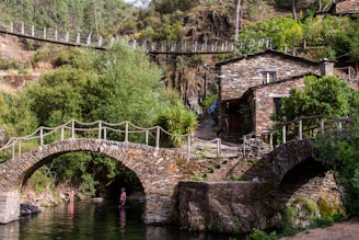 brown concrete bridge