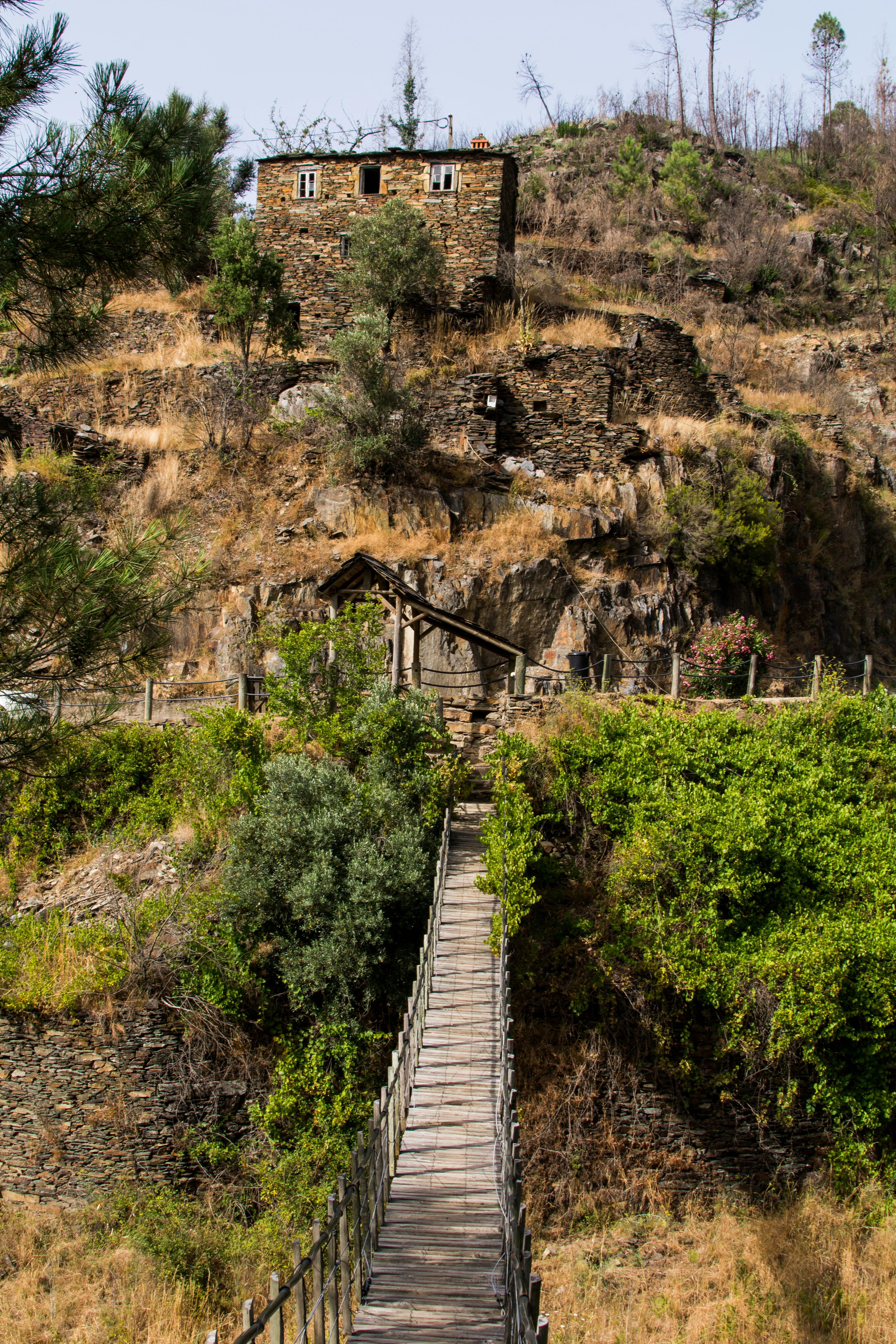 brown wooden hanging bridge