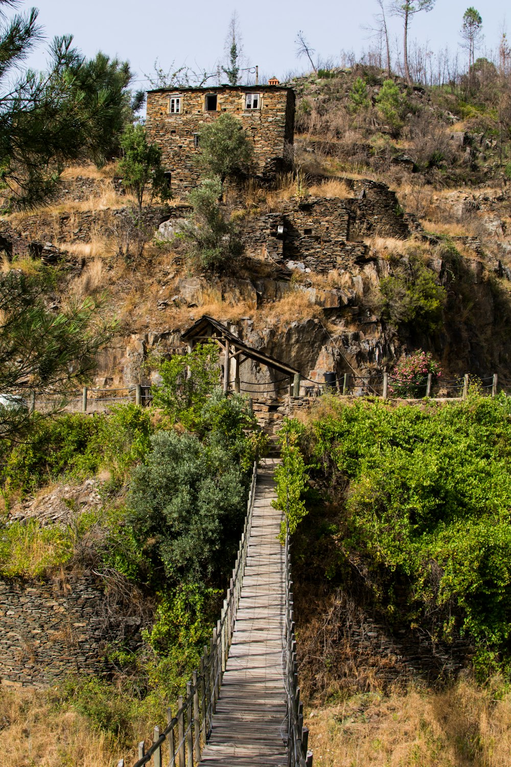 brown wooden hanging bridge