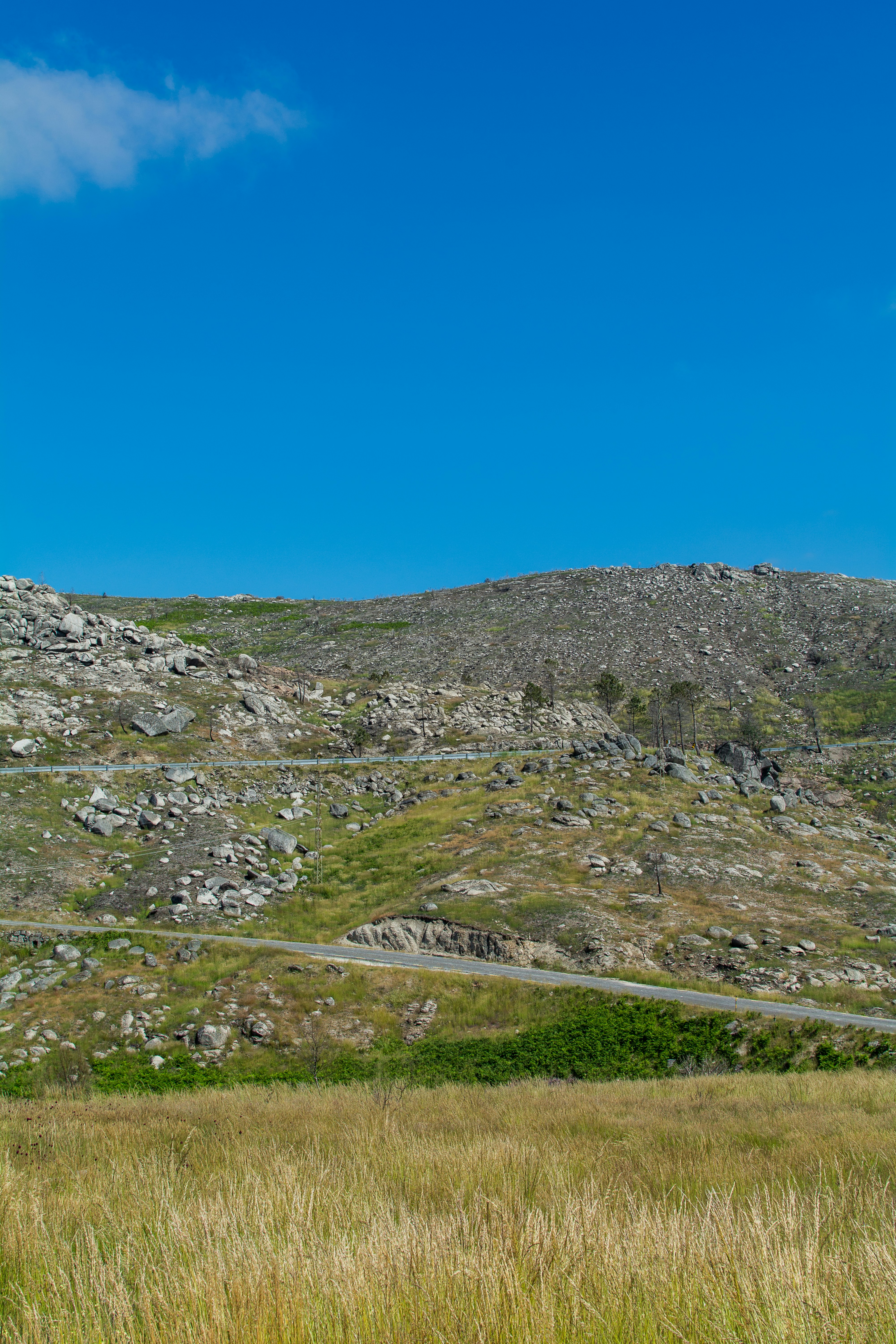 the 1031 exchange into primary residence can be a long and winding road, but the results are worth it