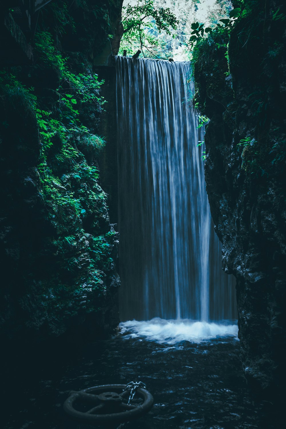 waterfall near green-leafed plants