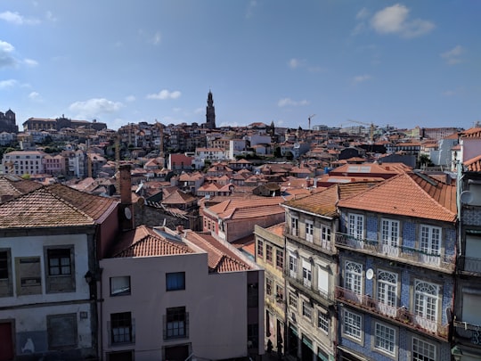 aerial photo of city in Porto Cathedral Portugal