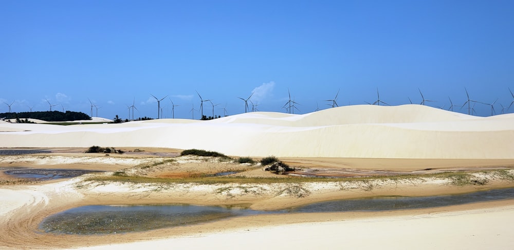 Moinhos de vento na praia de areia branca