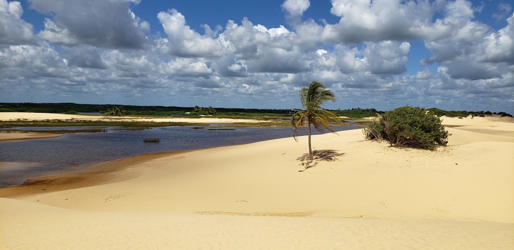 empty seashore under cloudy day