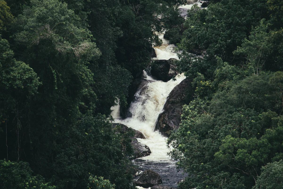 Vazhachal Falls