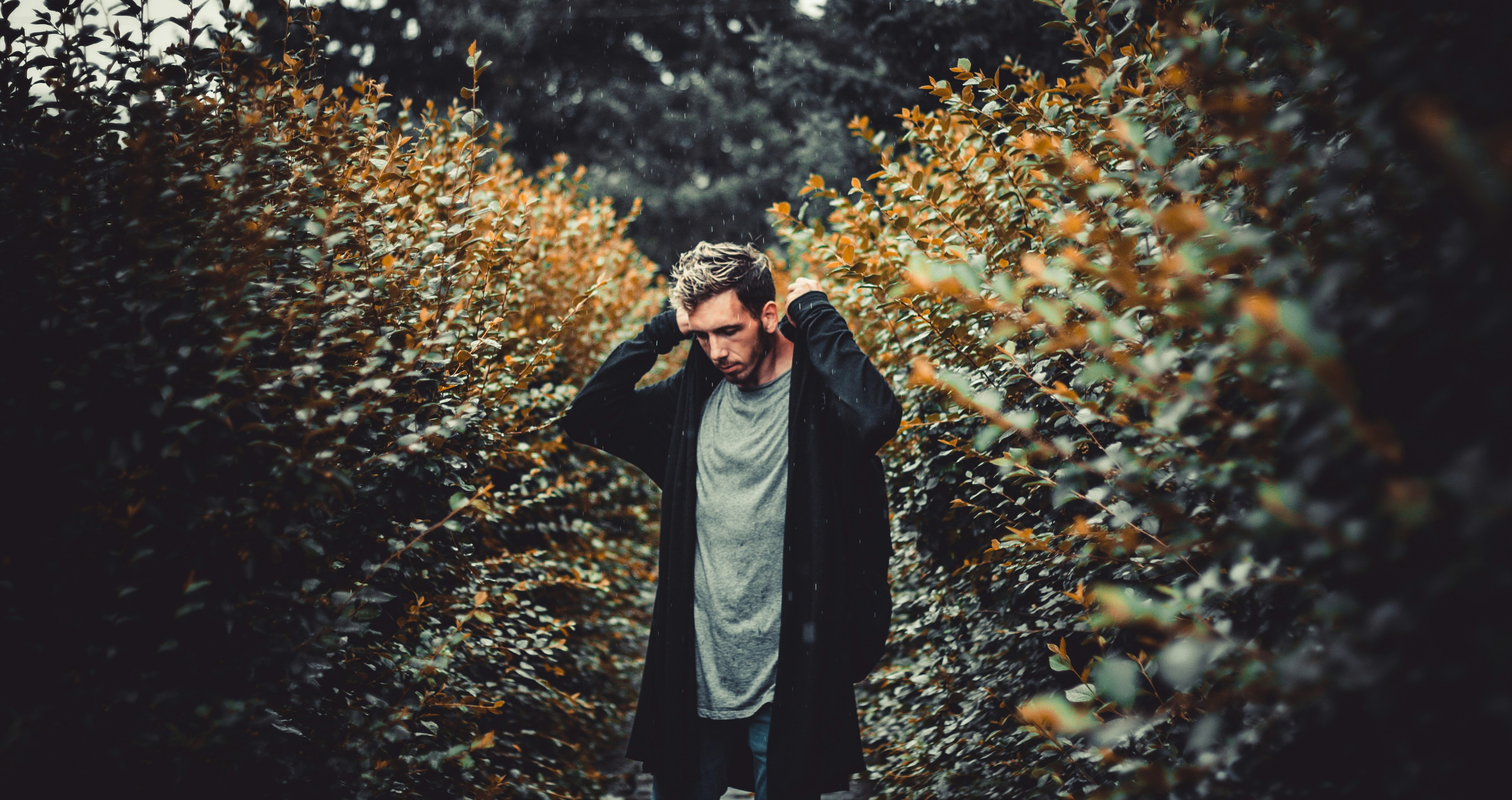 Photo by ilienerwise